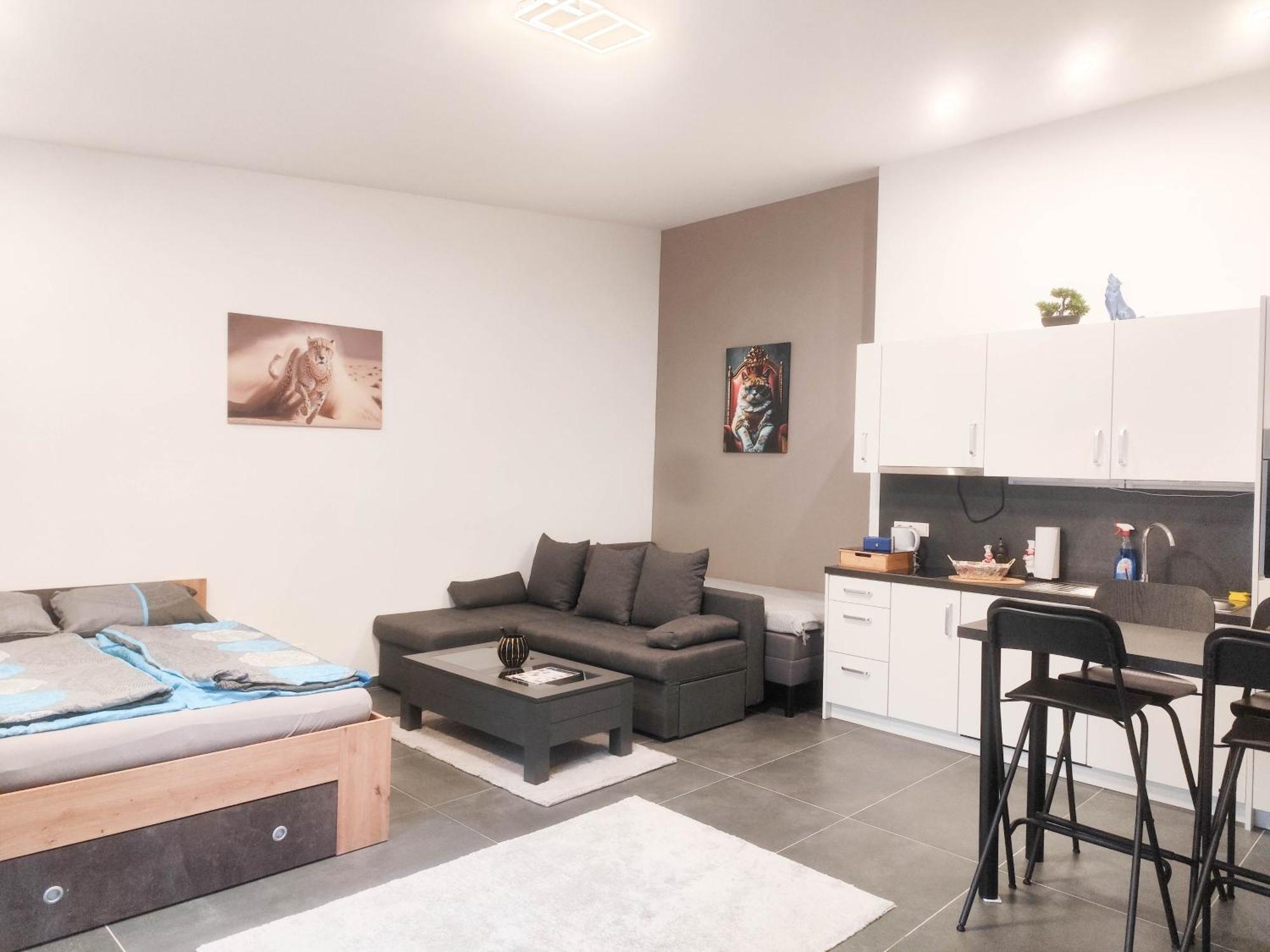 Cozy Apartments In Central Location With Free Parking Відень Екстер'єр фото