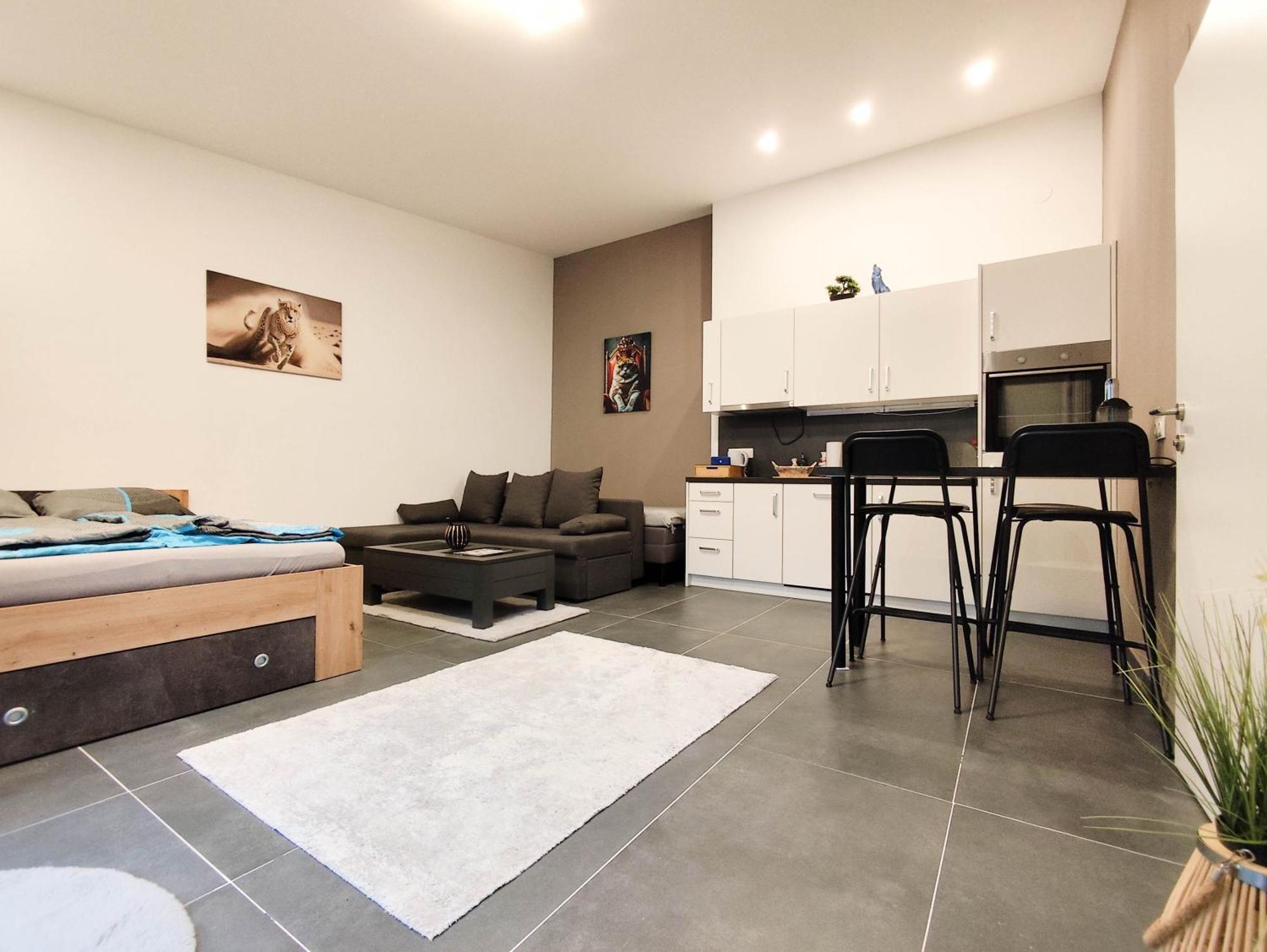Cozy Apartments In Central Location With Free Parking Відень Екстер'єр фото